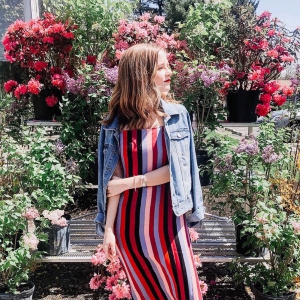 Reformation | Rosaly Isabel Striped Midi Dress 6